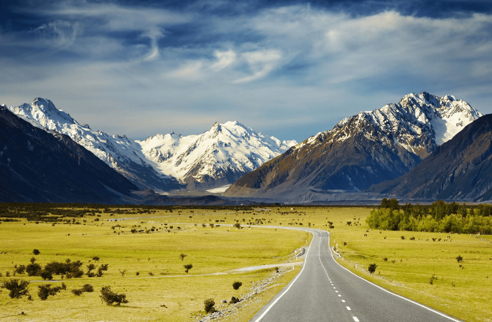New Zealand Car Rental overview
