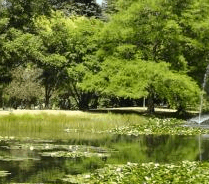 Queenstown Gardens